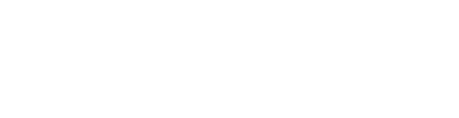 Racefaster